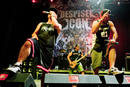 Despised Icon 