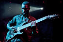 Animals as Leaders 