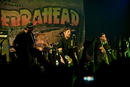 Zebrahead 