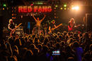 Red Fang 