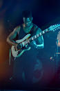 Animals as Leaders 