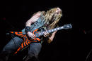 Zakk Wylde 