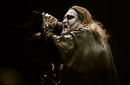 Powerwolf 