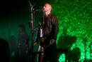 Wardruna 