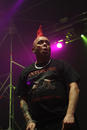 The Exploited 