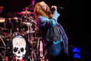 The Dead Daisies 