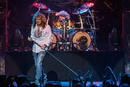 Whitesnake 